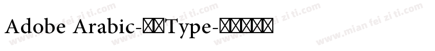 Adobe Arabic-常规Type字体转换